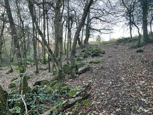 Photo 10- click for photo gallery